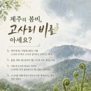 다드림제주