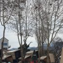 더드림 경주식당 | 겨울 남양주 캠핑장 더드림핑, 드림골식당, 리버나인카페 이용 후기