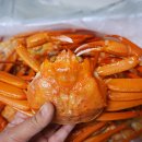 안녕후포리 | 집에서도 즐기는 제철 붉은대게! 살 꽉 찬 후포리홍게 솔직 후기