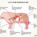 왔다곱창 이미지