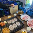 1987대패집 이미지