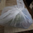 순이네야식 이미지