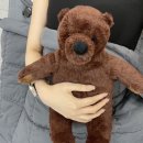 디에스타의원 이미지