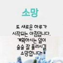 푸른교회 이미지