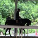 칠원지구대 이미지