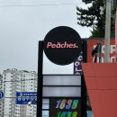 피치스주유소 빙고점 이미지