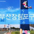 자전거 가족 | [리뷰] 부산 장림포구(부네치아)