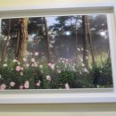 광양문화예술회관 이미지