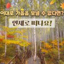 인제로R 이미지