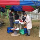 가로수동물병원 이미지