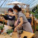 꿈의 정원 이미지