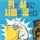 동네강아지 이미지