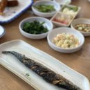 진도포항횟집참치 이미지