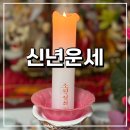 대운 동물병원 | 광주 양동 점집 신년운세 광주광역시 점 잘보는곳 약사불선녀보살