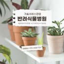 강화식물병원 이미지