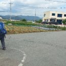 북영덕농협 영해지점 이미지