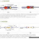 성우실업 이미지
