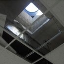 양정염포도서관 이미지