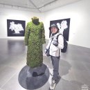 문화예술회관 제1전시실 | 제10회 대구사진비엔날레 25.9.18(목)~11.16(일) 대구문화예술회관 1~9전시실