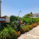 체리 민박 이미지