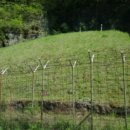 도계읍사무소 이미지