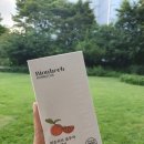 하니온 허브 이미지