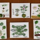 당진시 당진중앙1로 이미지