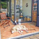 화실산책 | 강남_역삼동 취미미술 원데이클래스는 샤뜰리에 화실 내돈내산 후기