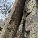 선인봉 | 산행, 등산코스 : 천관산도립공원 주차장 - 장천재 - 선인봉 - 대세봉 - 환희대 - 구룡봉 - 연대봉(정상...