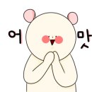 벤첼리 이미지