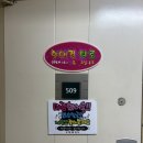 호 타로 | 내가 보려고 올리는 <건대 현애경 타로> 사주 후기