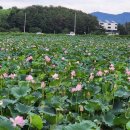 남매공원(보건소옆) 이미지