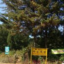 다송목장 이미지