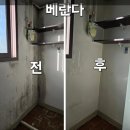 홍익광고공사 | 벽지 곰팡이 제거 업체 2만 번의 배신, 왜 당신의 집만 3번째 곰팡이가 피어오를까? (건축학적 종결)