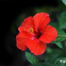 상담심리학 이미지