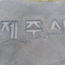 제주직업소개소 이미지