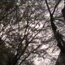 와뜨래요 이미지