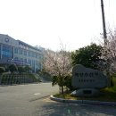 신지대교(신지도) 이미지