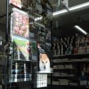 파트너펫 이미지