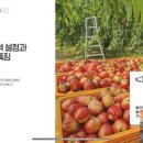 타이탄커머스 이미지