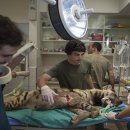 수호동물병원 이미지