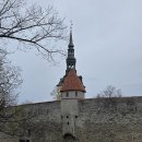 자연의 북유럽 7개국 여행(2) 이미지