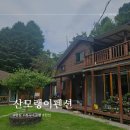 여름 휴가지 추천 강원도 평창 장전계곡 바로 옆 산모랭이 펜션 채송화 내돈내산