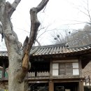 비래골길 이미지