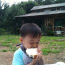 득성농장 Daum카페