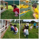 (가을소풍) 🦌새별 프렌즈🐑 이미지