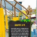 캉골롯데기흥아울렛 네이버블로그