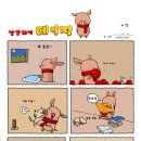 낭만돼지 Daum카페