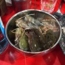 힘찬낙지 | [내돈내산, 군자역 맛집] 힘찬갯벌낙지