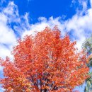 참여(Participation) 이미지